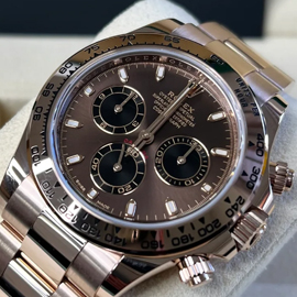 Rolex Cosmograph Daytona Everose Chocolate Dial 116505